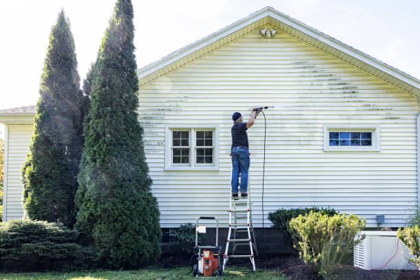 Best Solar Panel Cleaning  in Laingsburg, MI